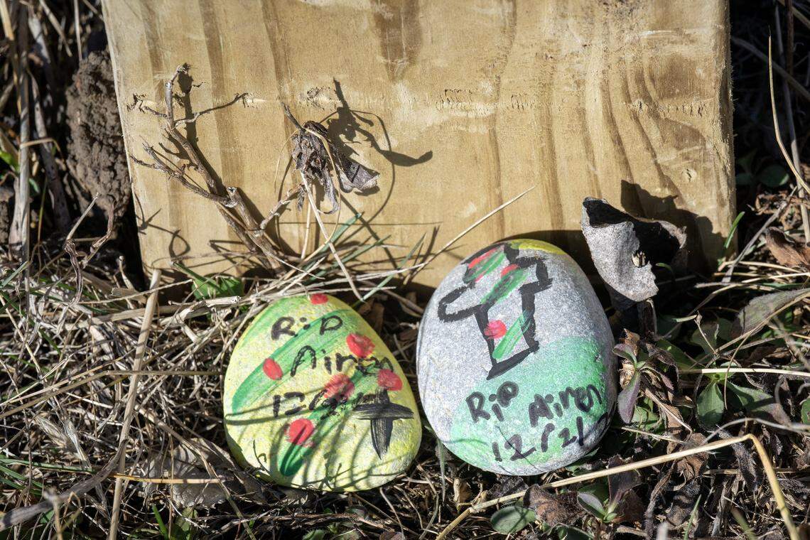 Painted rocks, which pay tribute to Airen Andula, 13, lay at the base of a wooden cross on Monday, Jan. 12, 2026.  The cross was built and erected by neighbors in Airen's neighborhood in the Holiday Lakes area in Pleasanton, Kansas. 