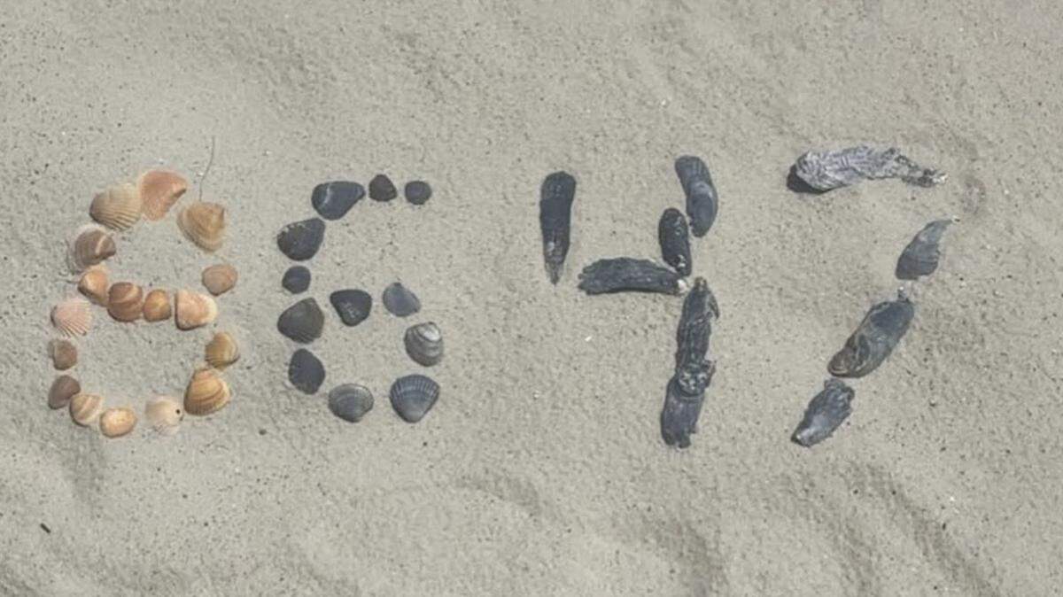 Former FBI Director James Comey posted then removed a photo of shells and rocks spelling out “8647,” which critics are calling a dig at President Donald Trump.