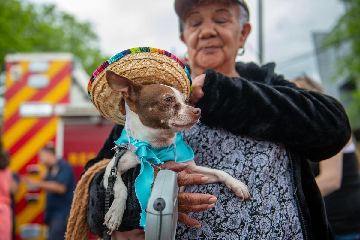 Leticia Magaña adjust her dog Chuchito’s sombrero during the Cinco de Mayo celebration at Guadalupe Centers on Friday, May 5, 2023, in Kansas City.