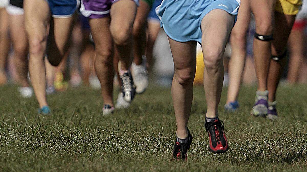 High school runners navigate the Gans Creek course at the state meet in Columbia.