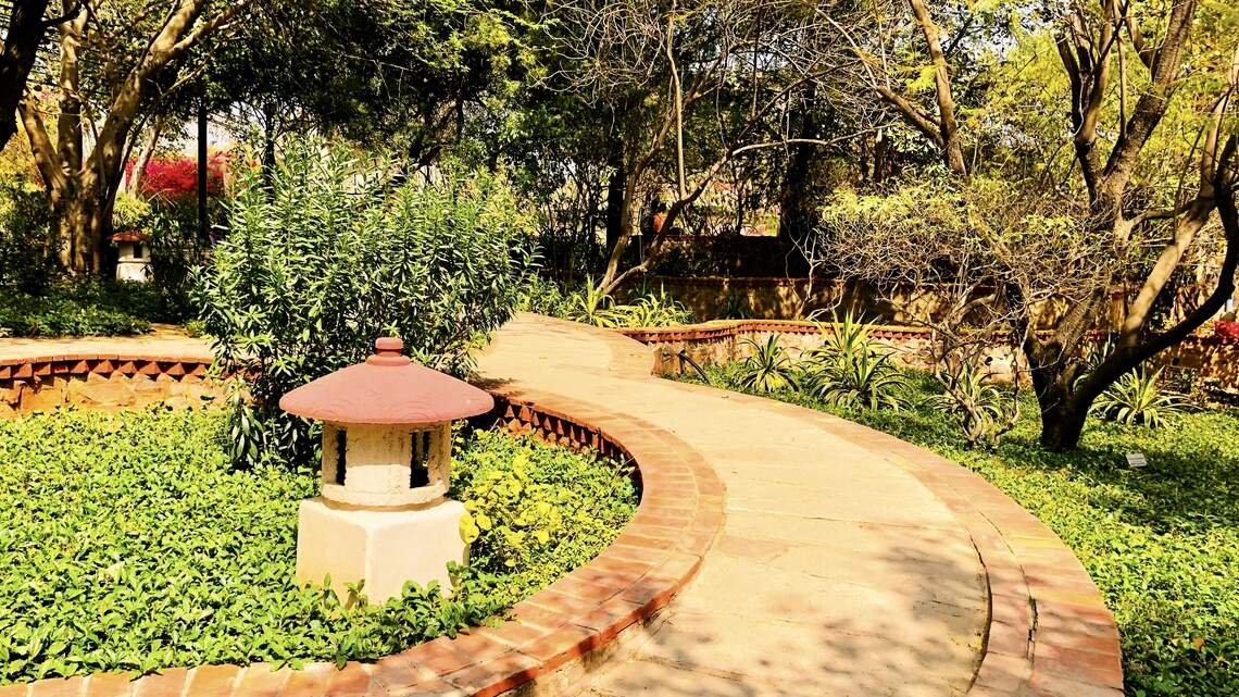 The rise of wellness gardens: Why schools and homeowners are creating more calming green spaces