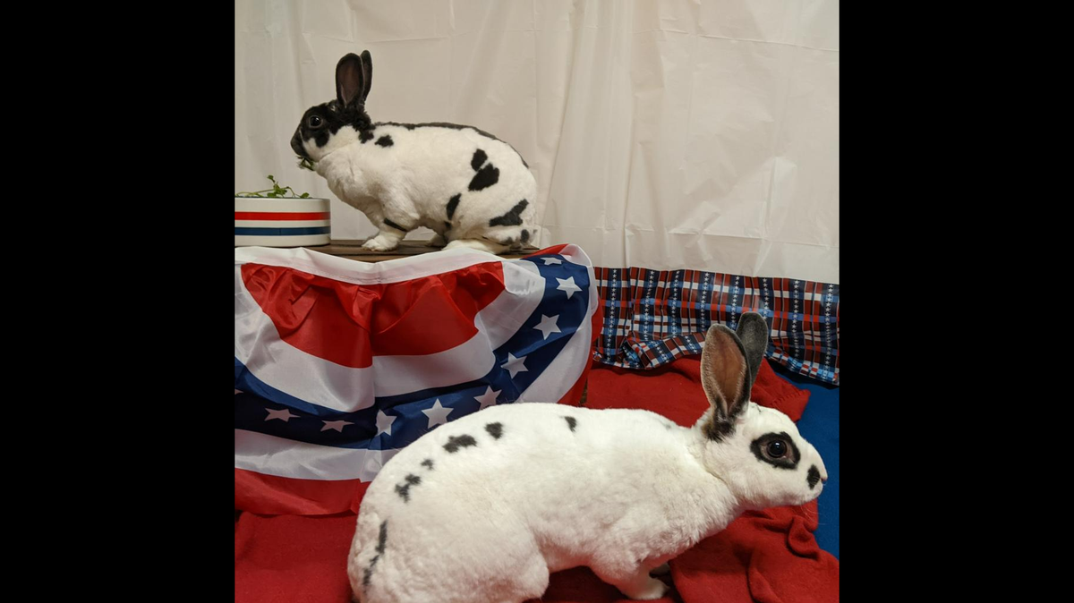 Peppa and Susie