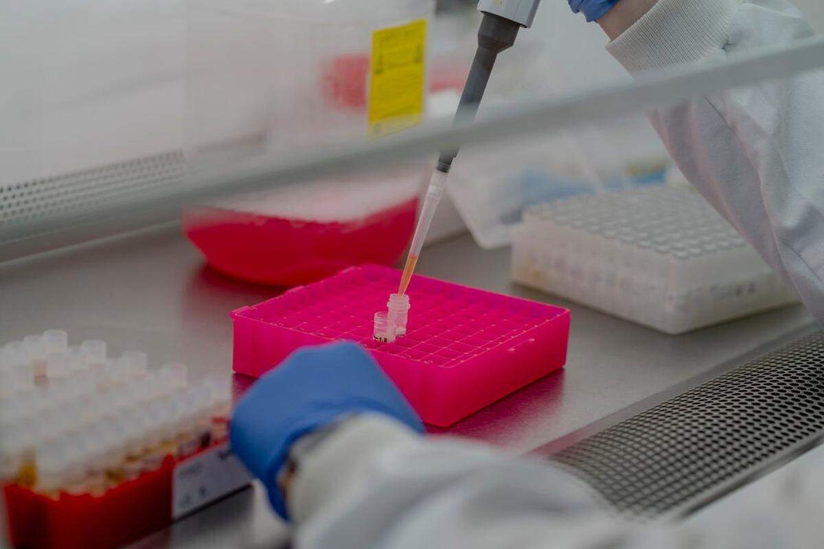 Testing blood samples for the Oxford vaccine. When Covid-19 emerged, Oxford researchers already had a vaccine platform that was safely used against a similar coronavirus.
