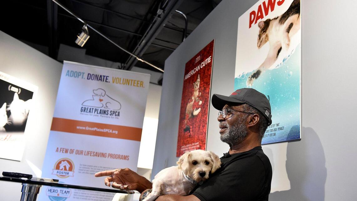 KC-area shelter dogs get a little ‘Romance’ from celebrities starring at New Theatre