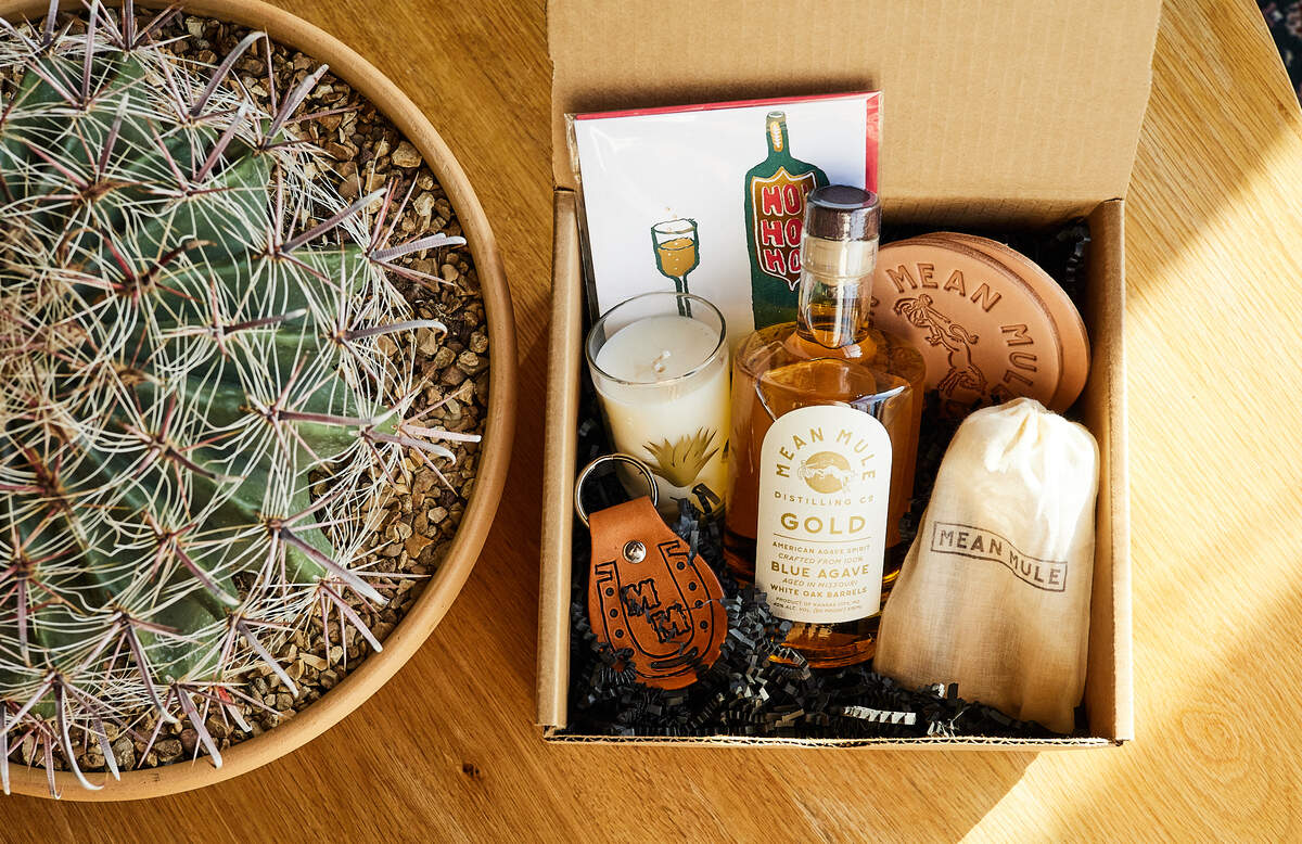 Mean Mule Agave