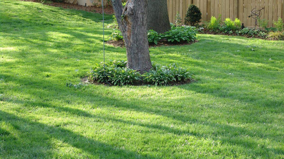 As spring looms, Dennis Patton offers this monthly fertilization and weed control guide to prepare for lush, healthy lawn this summer.