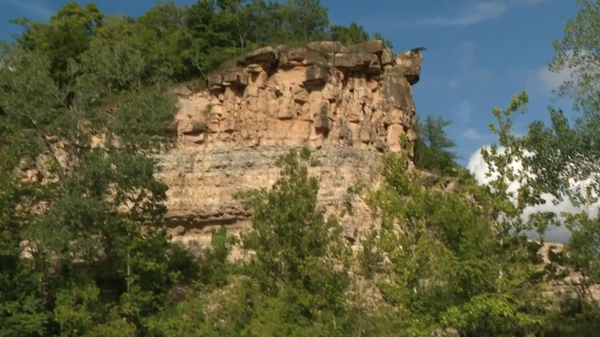 A 17-year-old died after he fell off a cliff at a Missouri park, cops say.