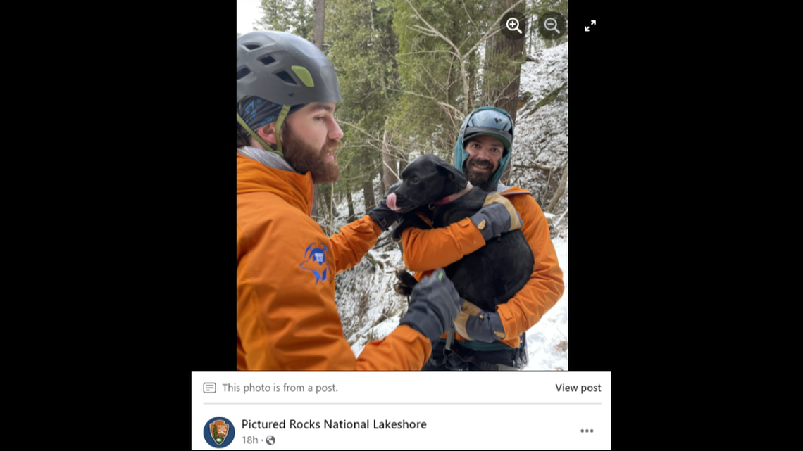 Members of a local rope rescue team found Dancer “cold, but alive” during a search on Jan. 11, the park said.