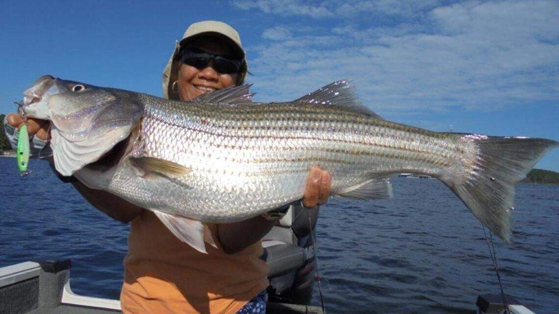 Fishing report: Cooling weather expected to turn on the fishing in coming weeks
