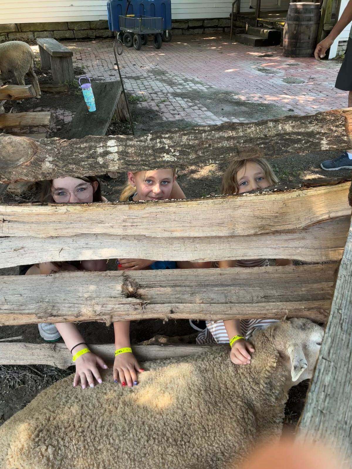 Lily Meyer, Aliyah Vogt and Teagan Vogt pet a sheep at the Missouri Town Living History Museum on July 1.