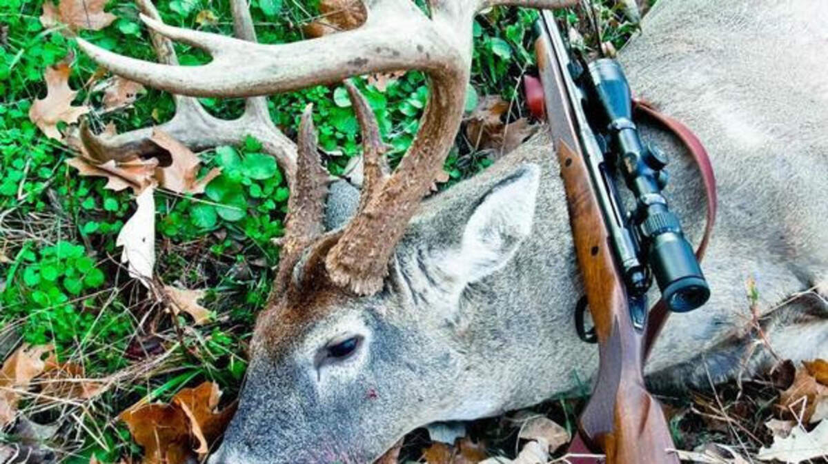 Nearly 100,000 deer were harvested in Missouri during opening weekend of the firearms hunting season.