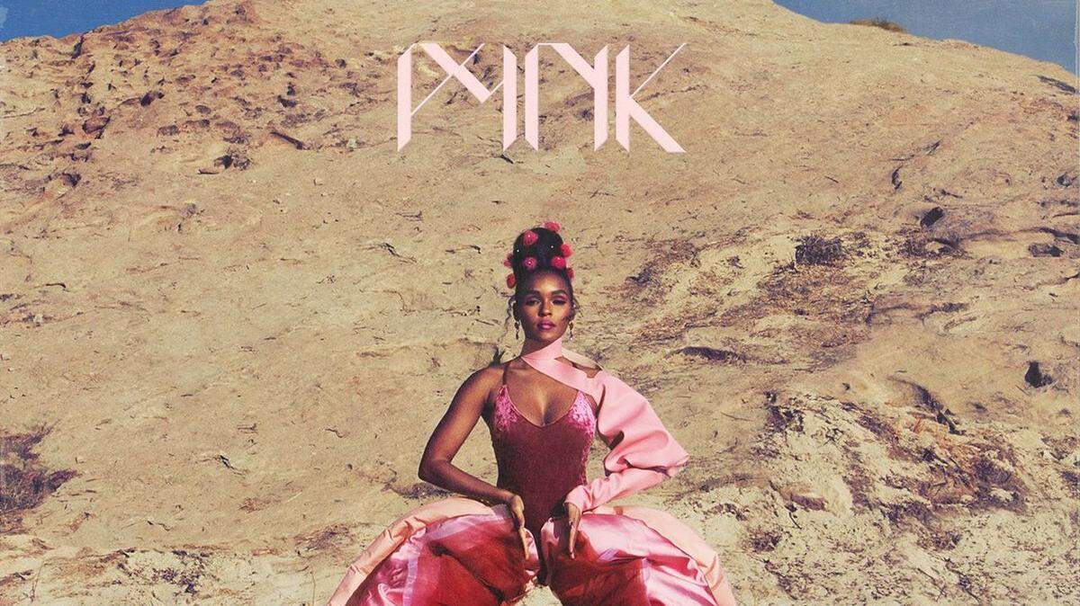 Janelle Monae just wore a pair of vagina pants in her new music video and people are trying to wrap their heads around them.