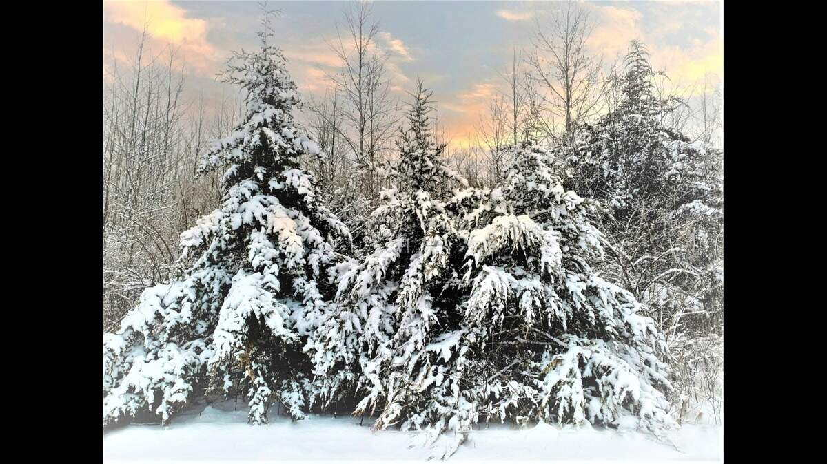 While there was very little snowfall or rain in 2022, only time will tell what the new year will bring to our gardens.