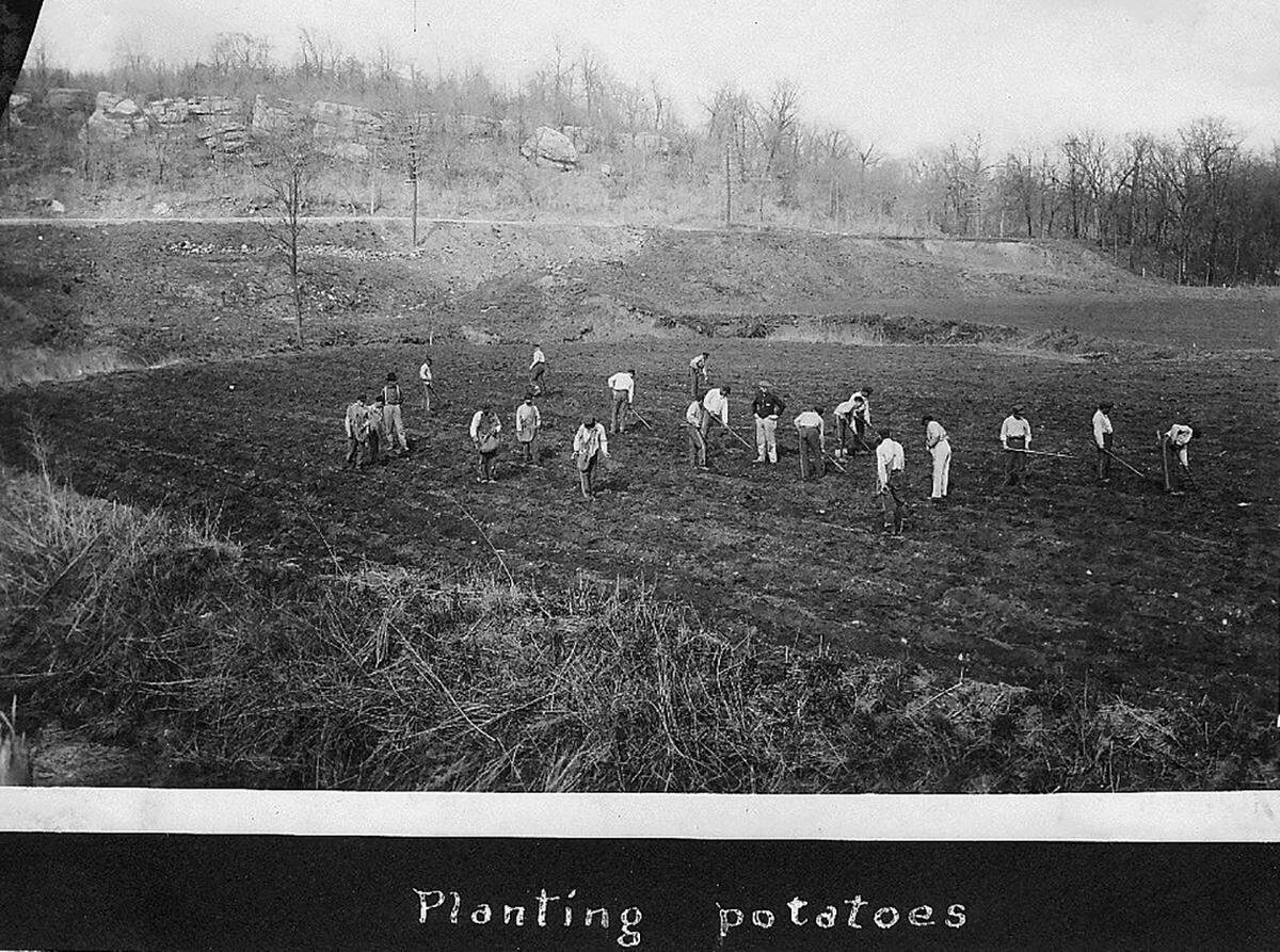 Inmates worked fields planting potatoes at the original Farm.