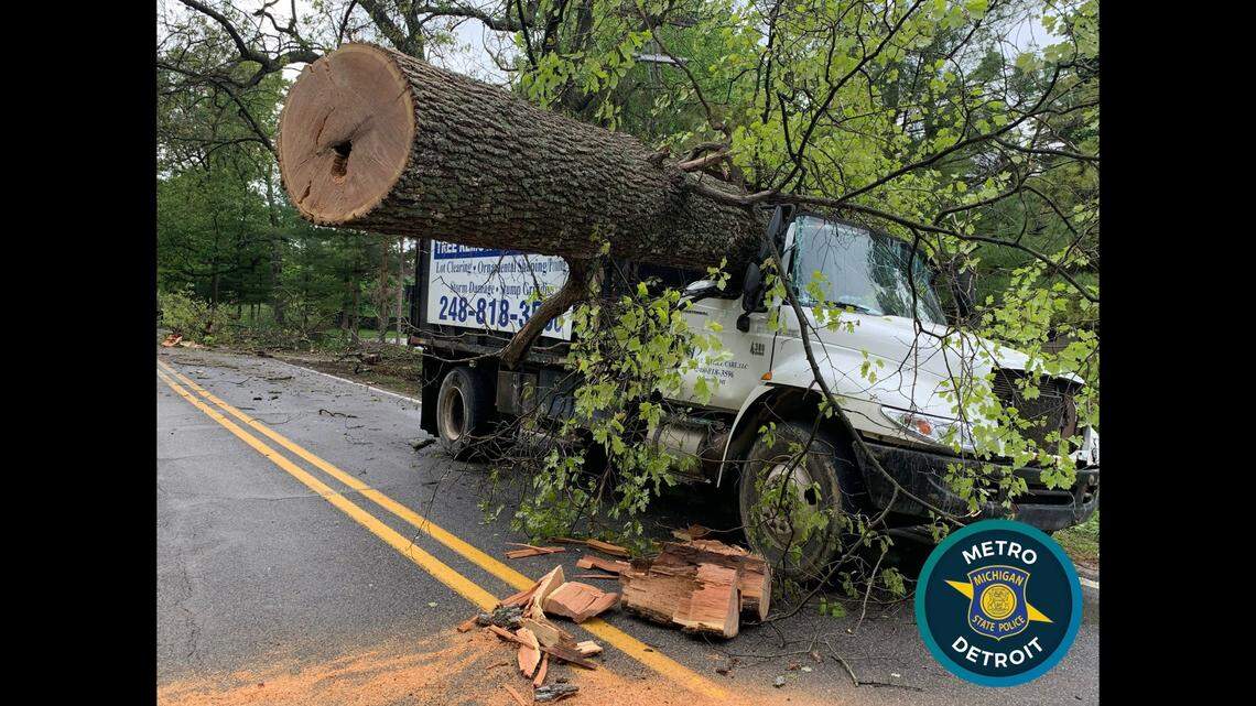 An oak tree fell onto a tree service truck, nearly crushing the workers inside in Michigan.