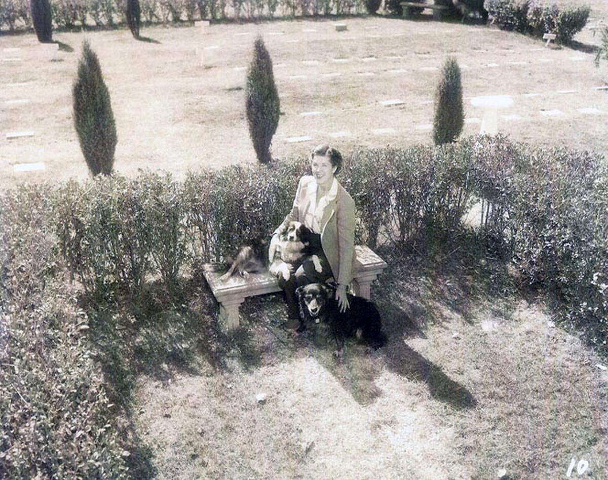 Fenby Webster founded Wayside Waifs in 1944. Since then, it has grown from 5 to 50 acres.