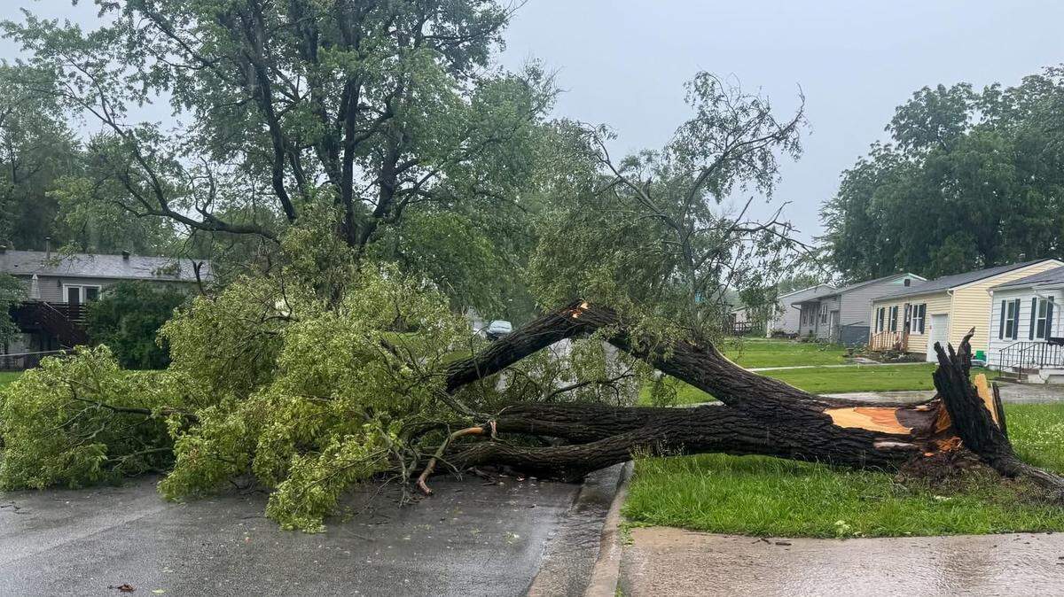 A downed tree blocks a roadway in Independence on June 3 following severe weather that left a slew of vegetative damage, downed power lines and power outages in the area.
