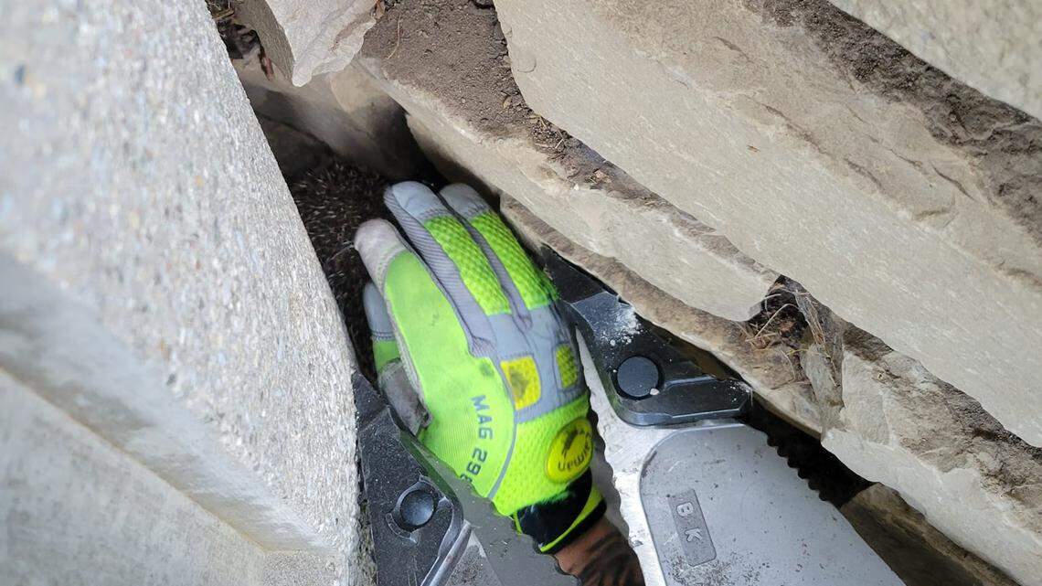 Firefighters respond to a hedgehog trapped between landscaping stones.