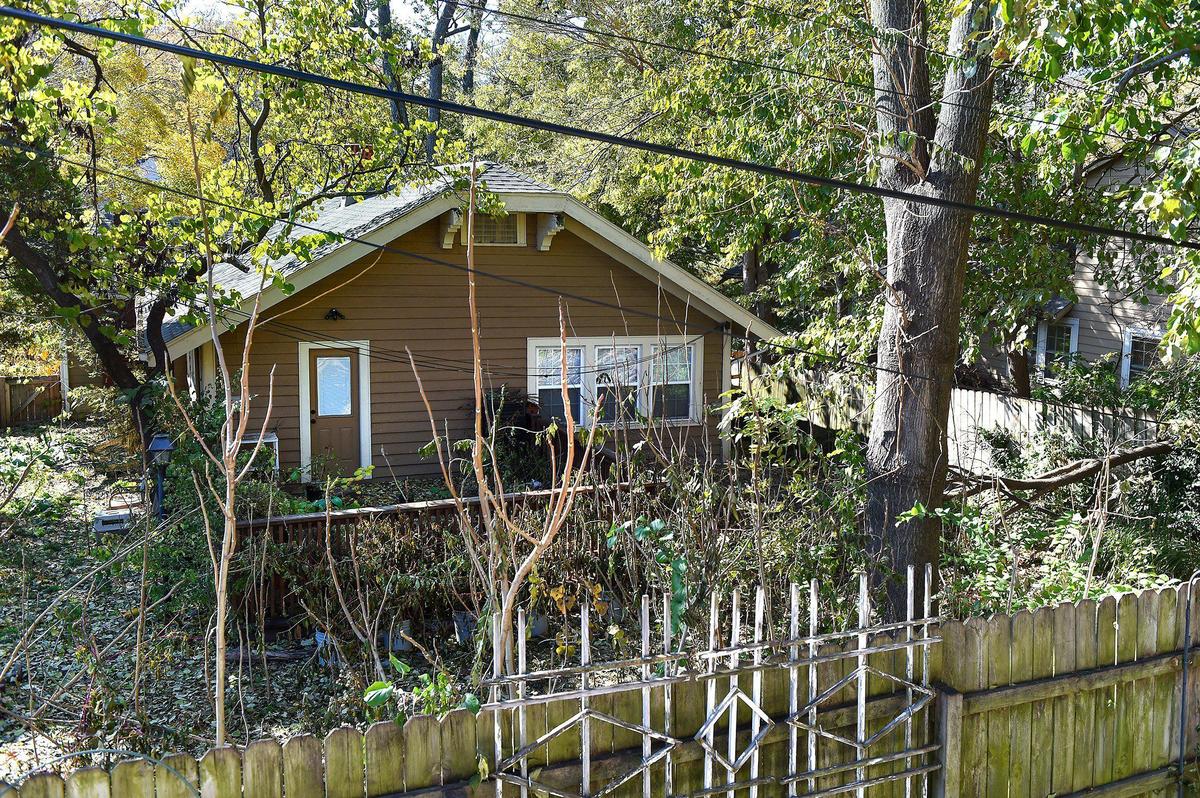 Carol Dille, who believes in a native landscape, did not allow a Star photographer into her backyard but invited her to take pictures from the roof of a neighbor’s garage.