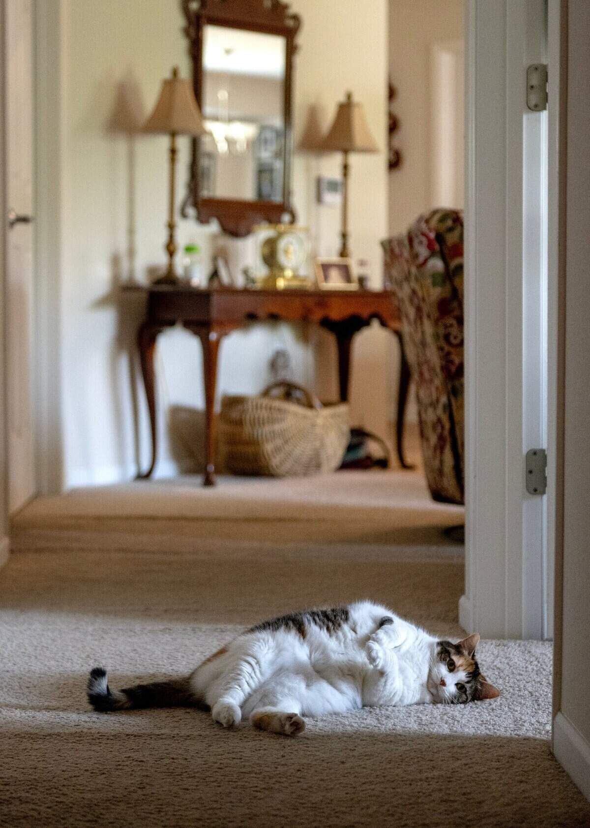 Muffin the cat is Jeannine Binder’s constant and protective companion.