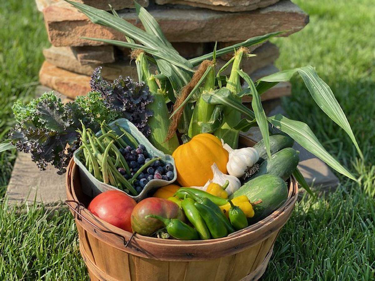 A bountiful harvest will happen if you can keep your veggie plants healthy during the difficult month of August.