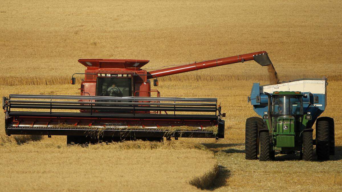 Kansas wheat harvest
