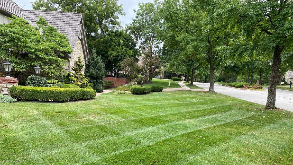 A September application of fertilizer helps the lawn recover from summer stress.