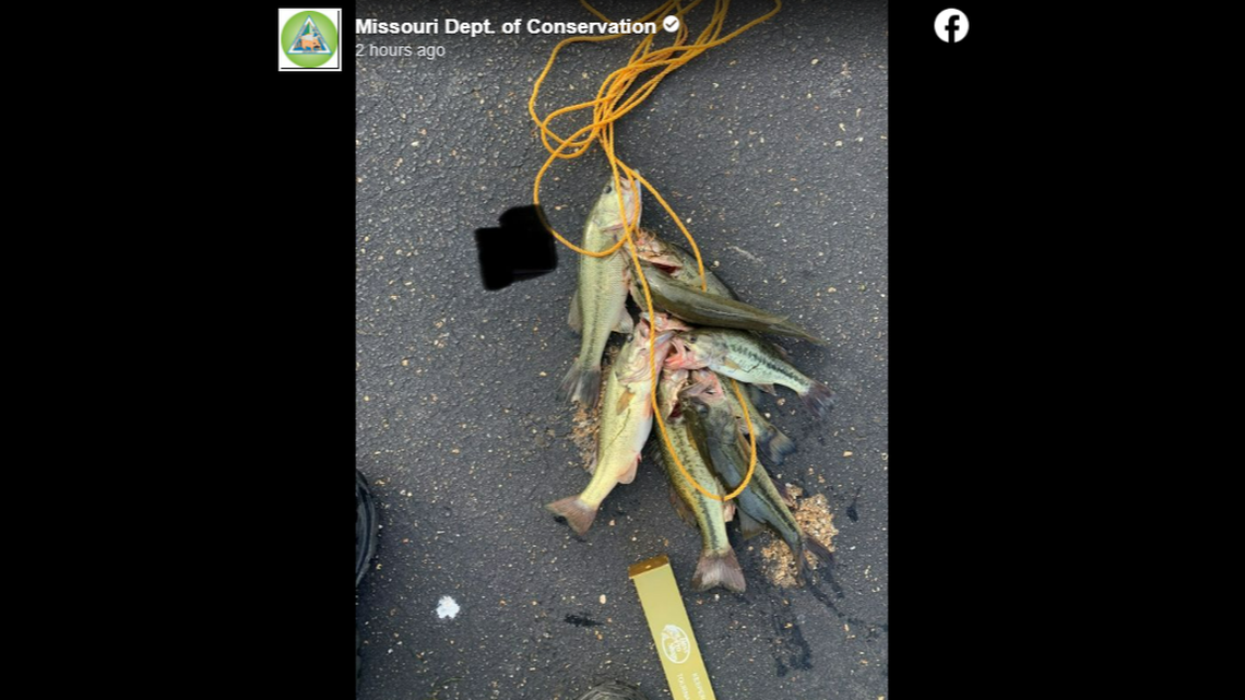 An angler was cited after officials say he illegally kept largemouth bass “just so he could take a picture of a stringer full of fish.”