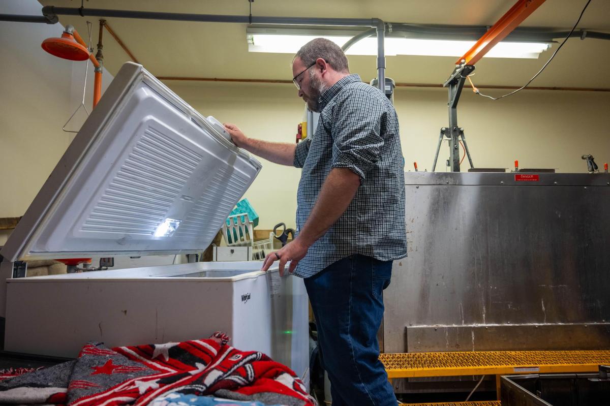 Jarrod Hammond, owner of Heartland Pet Aquamation, inspects a freezer filled with the bodies of beloved pets which will later undergo water cremation, a process said to be more environmentally friendly than cremation by fire.