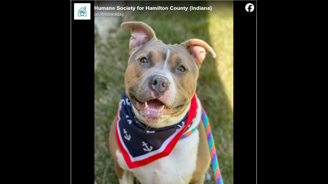 The speedy Kermit also happens to be very affectionate.