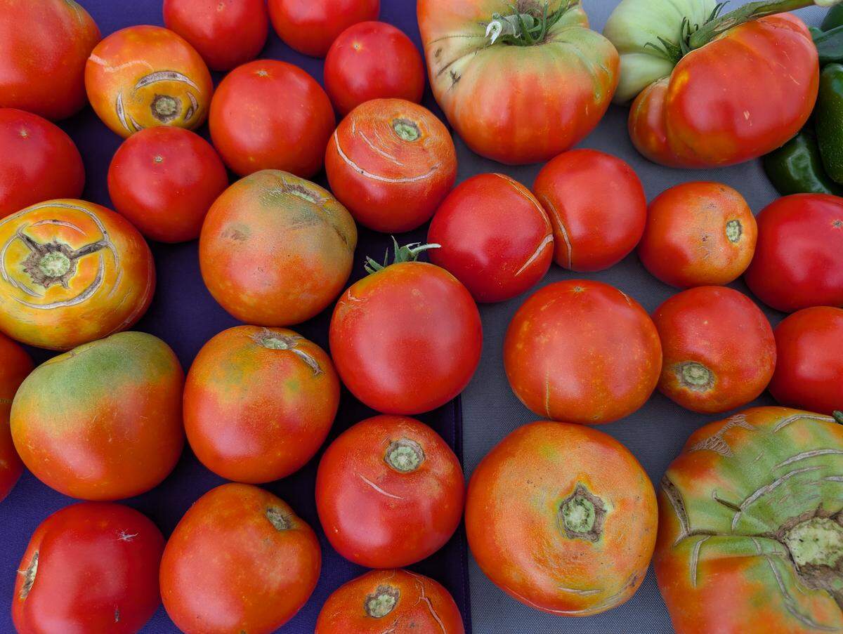 Some tomatoes can finish ripening inside, but make sure you check for cracks first.