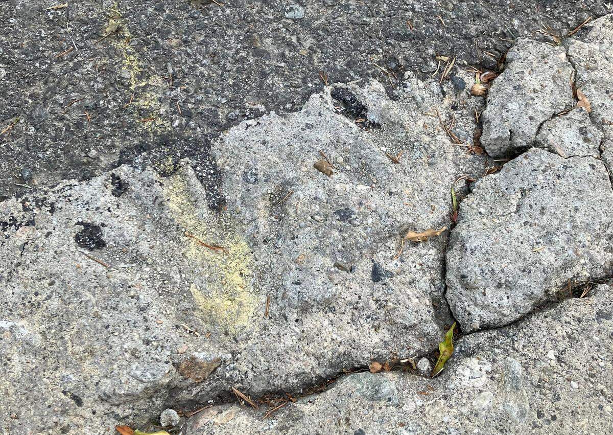 Can you spot a young Andy Reid’s handprints in the sidewalk in front of his boyhood L.A. home?