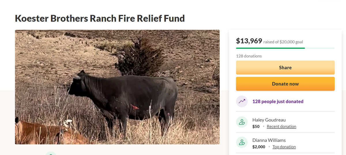Rich Koester lost about 60 heads of cattle when wildfires swept through Russell County, Kansas Wednesday Dec. 15.