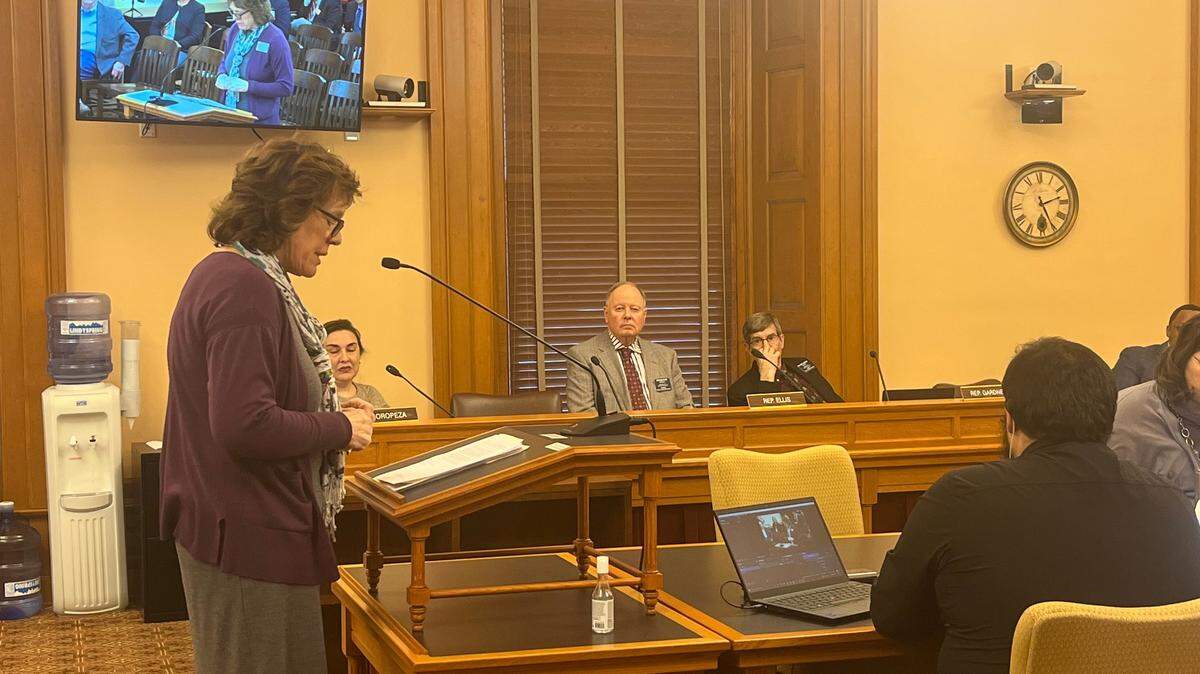 Jeanne Gawdun, a lobbyist for Kansans for Life testifies to the House Health and Human Services Committee about the alternatives to abortion proposal.