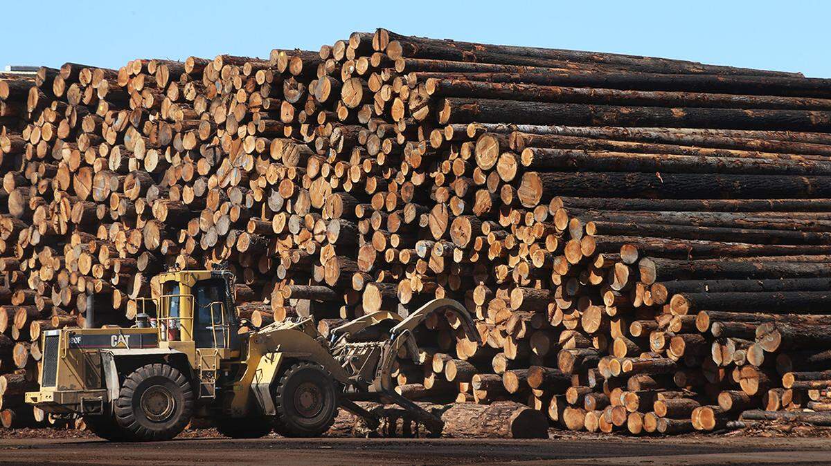 Arbor Day is a reminder that proper forest management has never been more important.