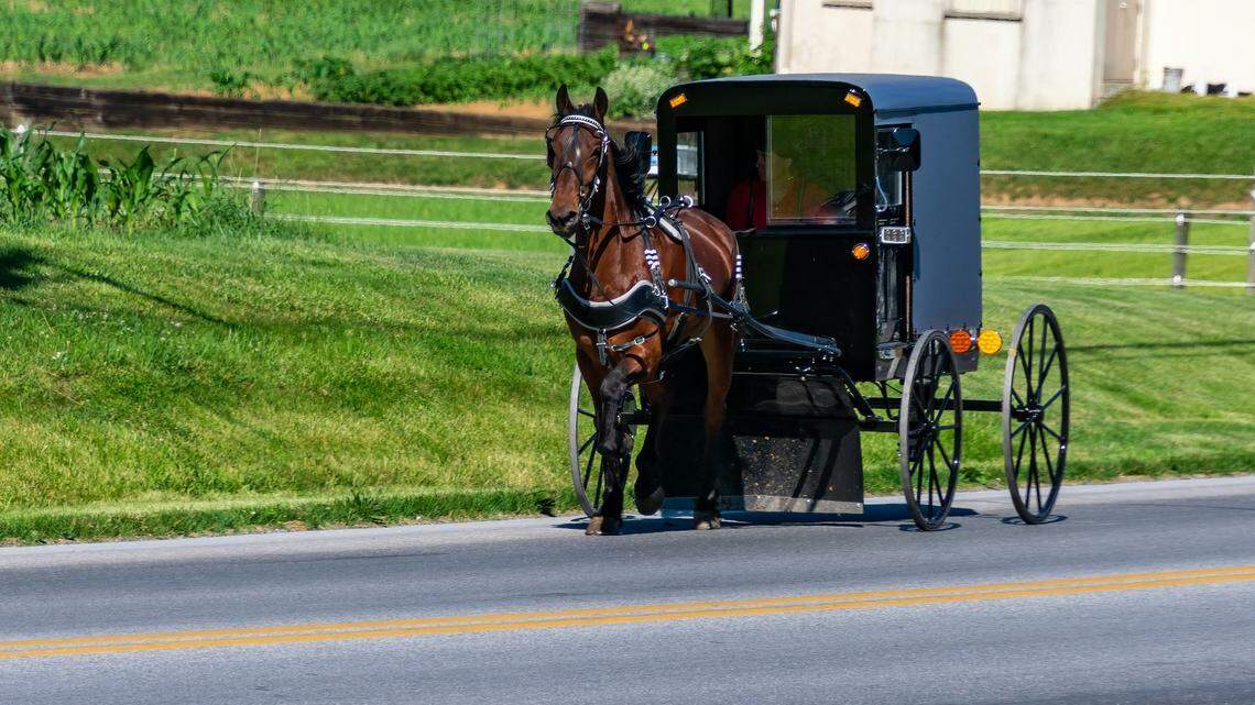 Three Amish children died on the way to school when a car hit their horse-drawn buggy.