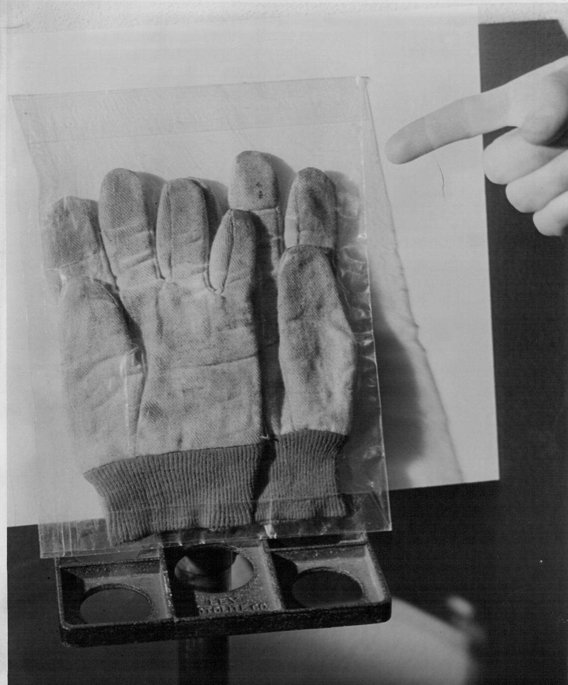 The bloody gloves were left behind by the murderer in a neighbor’s yard.