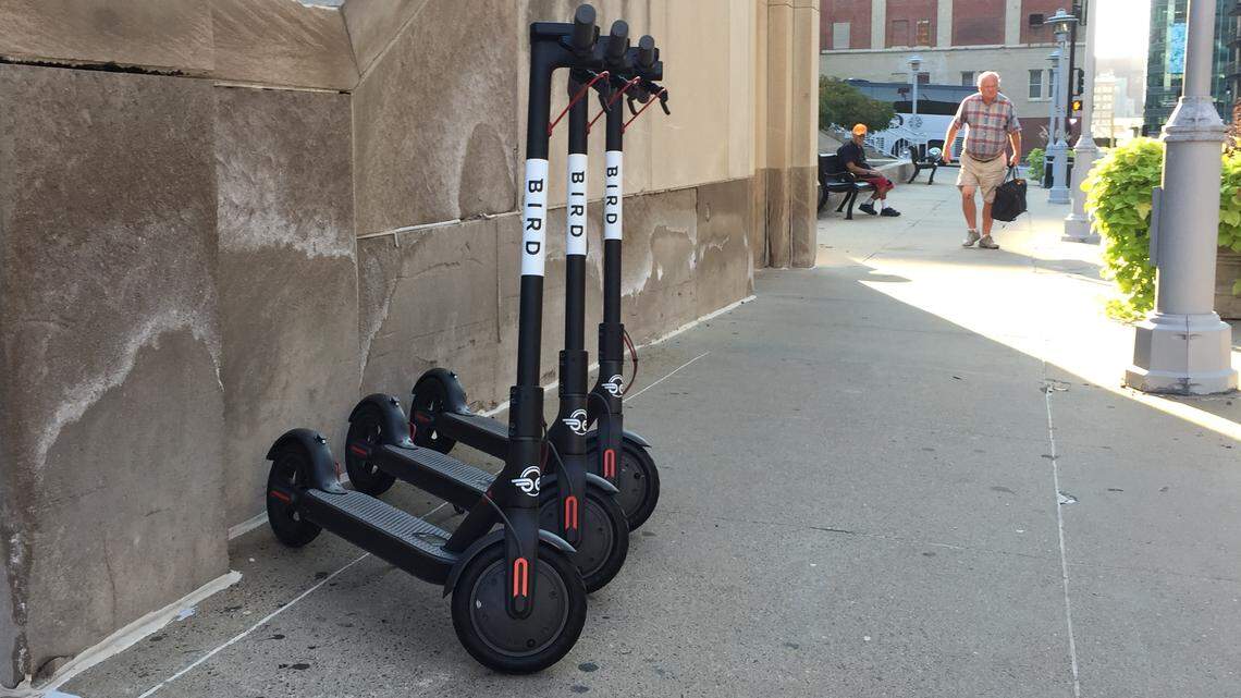 Bird electric scooters are subject to the same traffic laws that must be observed by bicyclists, meaning, for example, a $40 fine plus court costs for riding on sidewalks or failure to use a bike lane.