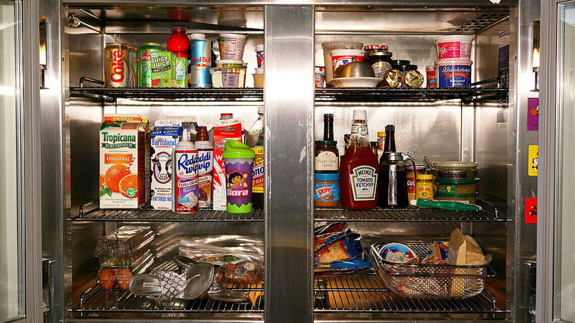 Did You Know You Can Forage Your Own Fridge? Here’s How Empty Nesters Are Saving Money on Groceries