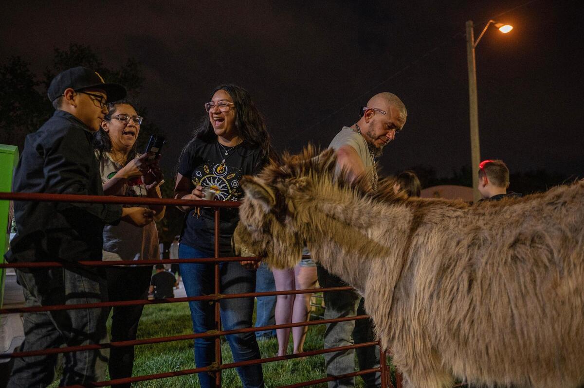 Visitors pet a donkey during the Cinco de Mayo celebration at Guadalupe Centers on Friday, May 5, 2023, in Kansas City.