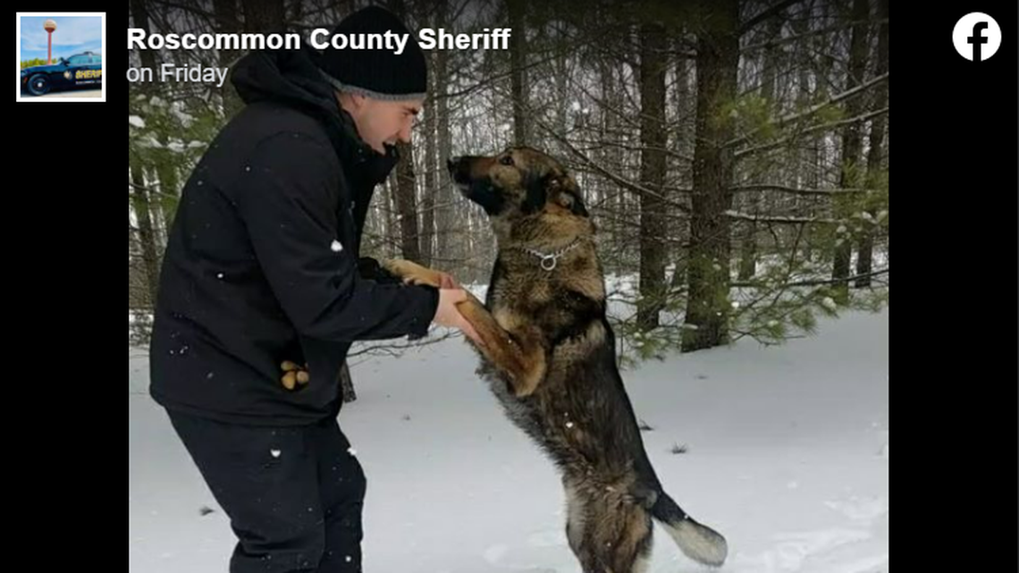 Ghost the police dog helped rescue a man lost in the freezing woods, officials say.
