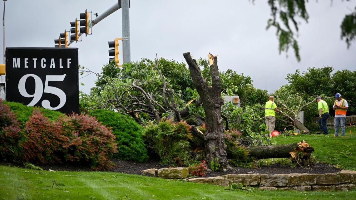Dealing with fallen trees, branches after the storm? Here’s where to go in KC area