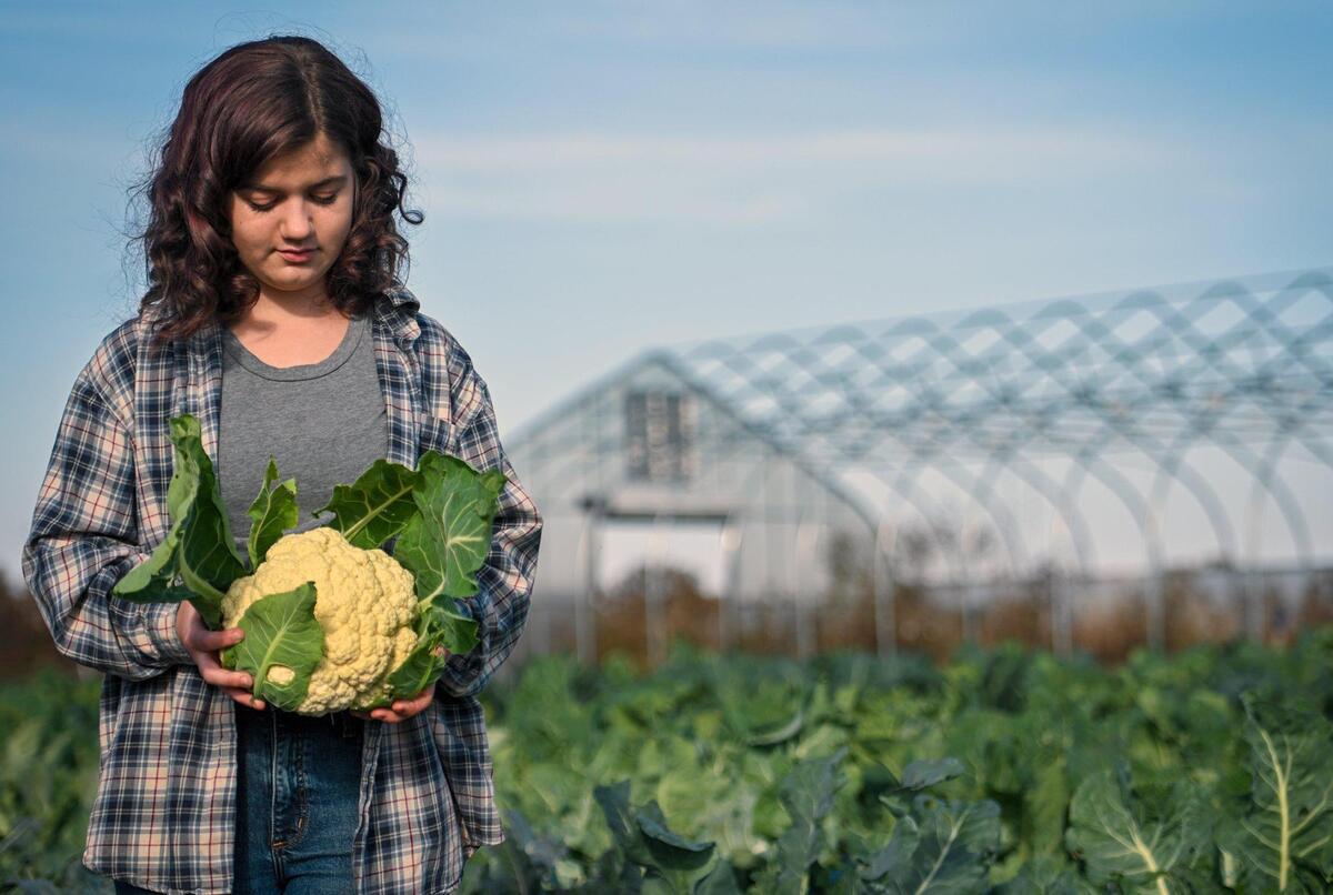 Lauren Hill looks over a head of organically grown cauliflower grown in a patch on her family’s farm, Moxie Farms, in Trimble, Missouri.