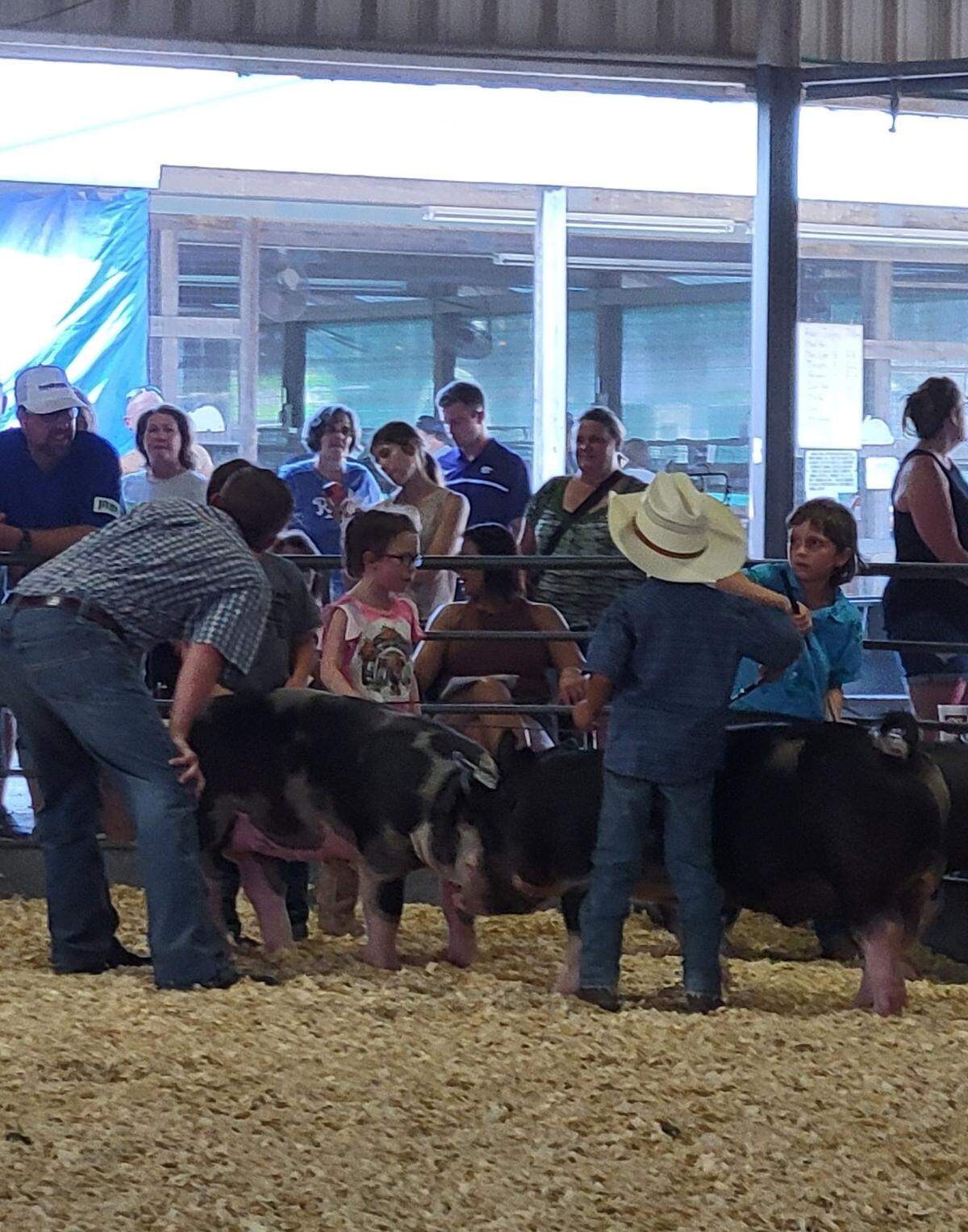 Livestock and youth are still cornerstones of the Johnson County Fair thanks to the strong ties the event has with 4H Clubs.