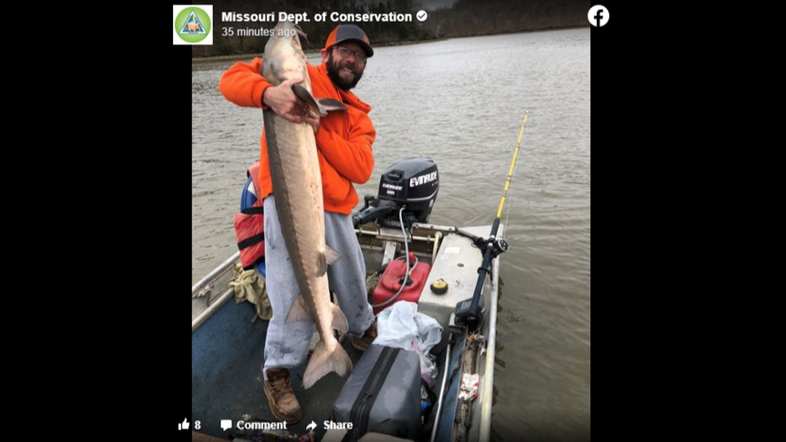 Troy Staggs with the second lake sturgeon he caught while on Lake of the Ozarks in Missouri, officials say.