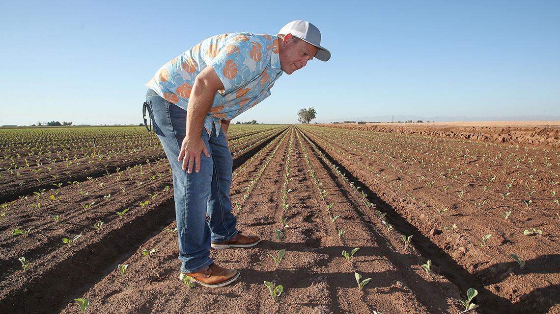 The version the House is pushing is a sop to the corn-soybeans-meat axis that has undue influence on agricultural policy.