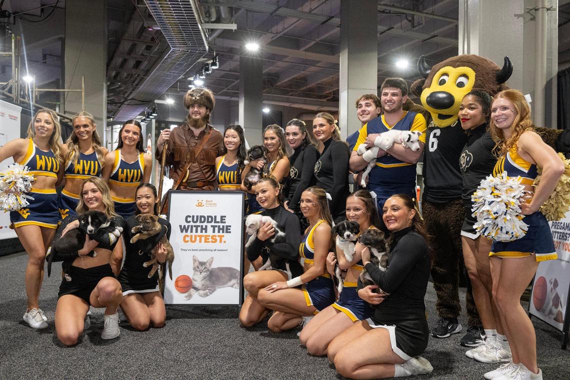 Members of the Colorado Buffaloes cheerleading squad posed with shelter puppies sponsored for adoption by Best Friends Animal Society at the Big 12 Men’s Basketball Tournament at the T-Mobile Center on Wednesday, March 12, 2025, in Kansas City.