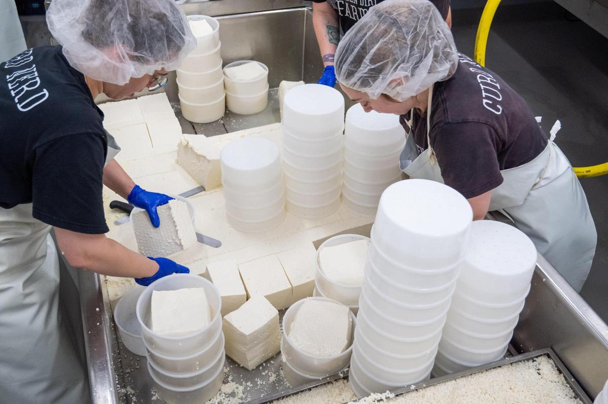 Fully knitted cheese curd is pressed into molds at Green Dirt on Oak in Kansas City on Wednesday, April 2, 2025. Green Dirt on Oak houses its own cheesemaking facility in downtown Kansas City, where a team of cheesemakers process sheep’s milk into various types of cheese.