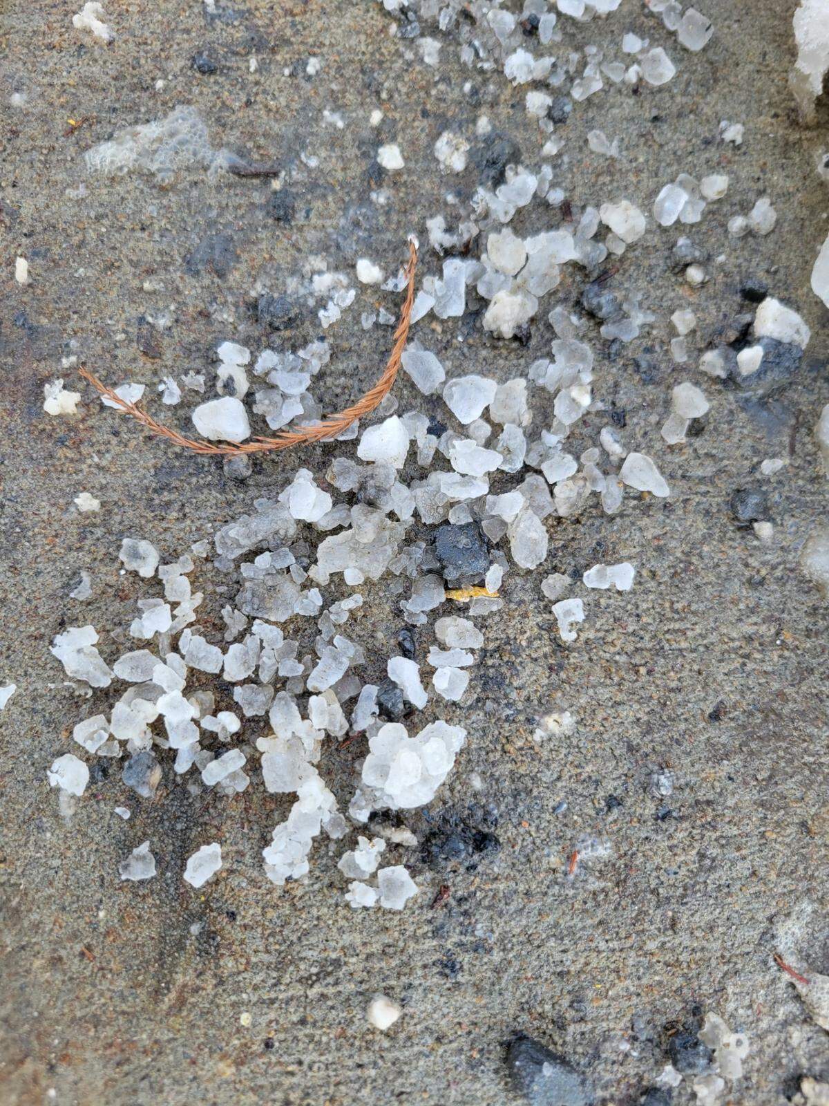 Rock salt spread on a sidewalk.