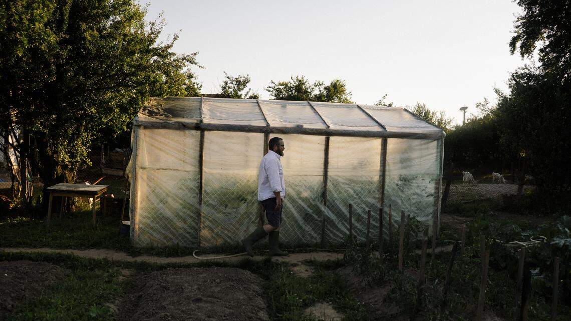 Everything You Need to Know Before Buying Your First Greenhouse